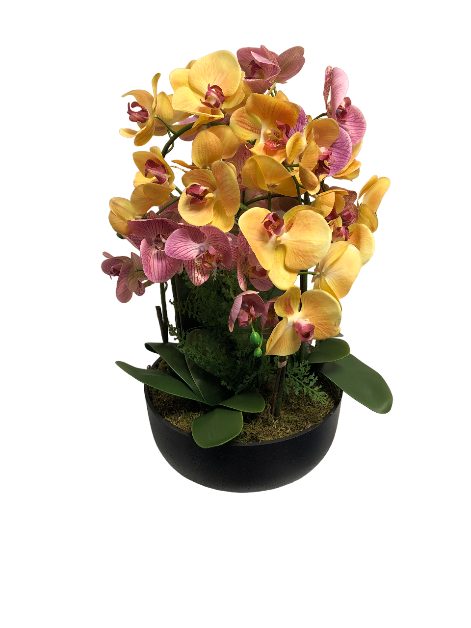 https://www.flower-genie.co.uk/profile/Orchids