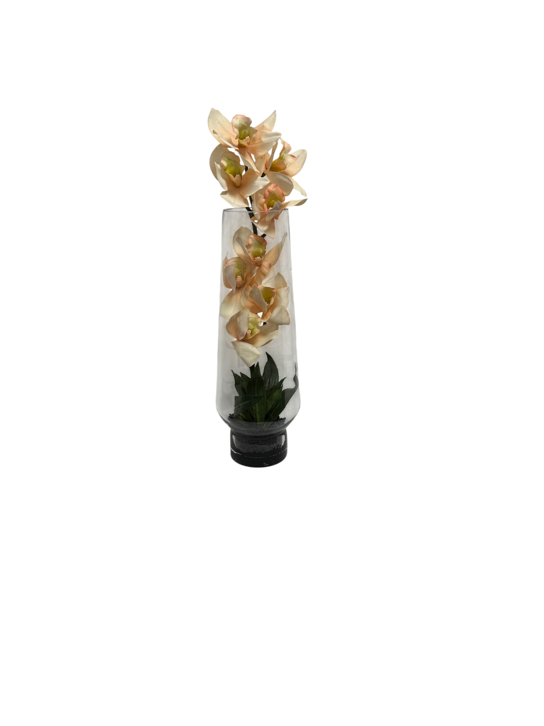 https://www.flower-genie.co.uk/profile/Orchid